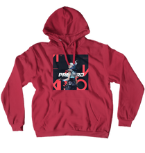 pronerd22 Hoodies (No-Zip/Pullover)