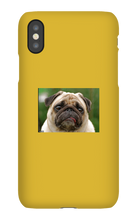 highestworm45429 iPhone Phone Cases