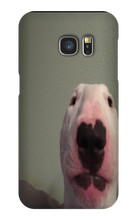 WALTER PHONE CASE (samsung)