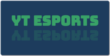 YT ESPORTS XXL Gaming Mousepad