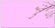 Cherry Blossom (18x36)