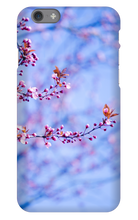 tanikohorigome iPhone Phone Cases