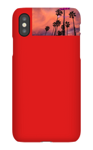 palm seas limited case