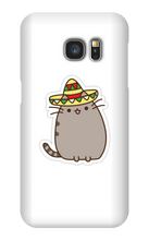 Kitty Tako Case