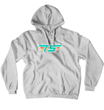 tumidseagull Hoodies (No-Zip/Pullover)