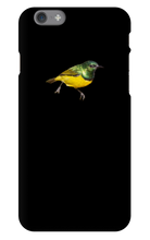sir_ee iPhone Phone Cases
