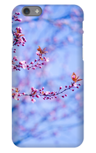 tanikohorigome iPhone Phone Cases