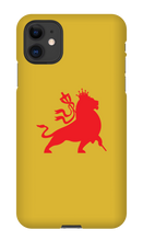 babylonfallsoundsystem iPhone Phone Cases