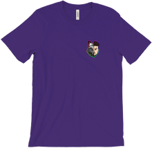 RaidenXSnow Anime T-Shirts