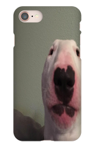 WALTER IPHONE CASE