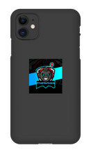 robingames05 iPhone Phone Cases