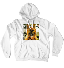 The dexter hoodie (No-Zip/Pullover)