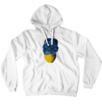 Quarantine Joy Hoodies (No-Zip/Pullover)