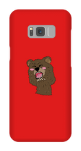 BEAR CASE