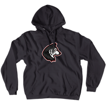 Hoodies (No-Zip/Pullover)