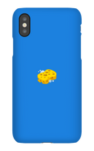 lil_sponge2 iPhone Phone Cases