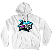 Hoodies (No-Zip/Pullover)
