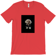 charly_playz T-Shirts