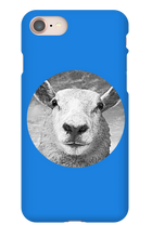 GraySheep  iPhone Cases