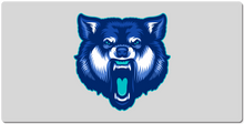 Team Frost XXL Mousepad