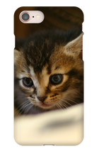 pamplemousse2stv iPhone Phone Cases