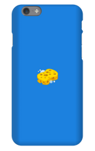 lil_sponge2 iPhone Phone Cases