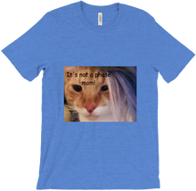 catgirl1224's "It's not a Phase Mom!"