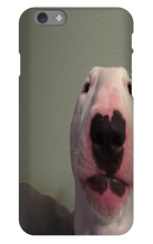 WALTER IPHONE CASE