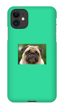 highestworm45429 iPhone Phone Cases