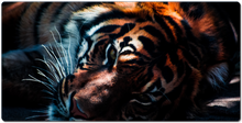 bengalplays XXL Gaming Mousepad