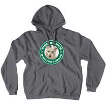 Hoodies (No-Zip/Pullover)