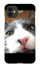 gullkatten iPhone Phone Cases