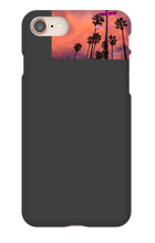 palm seas limited case