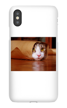 Funny Taco Cat Iphone Case