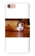 Funny Taco Cat Iphone Case