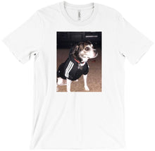 tcanzz T-Shirts