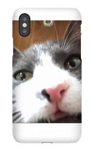 gullkatten iPhone Phone Cases