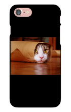 Funny Taco Cat Iphone Case