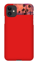 palm seas limited case