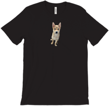 Shifu T-shirt