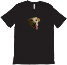 SHINER DOGGO