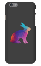 Conejo Arcoiris Funda iPhone