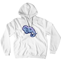 Hoodie (No-Zip/Pullover) Light blue