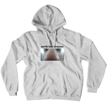 worlds best streamer hoodie
