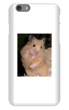 blackfire765655 iPhone Phone Cases