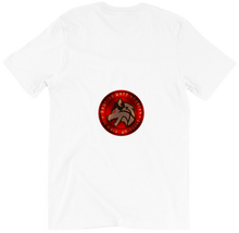 HWS T-Shirts Back Print