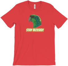 Stay Blessed!