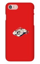 galaxydragon2332 iPhone Phone Cases