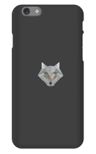 Trx Frosty's iPhone Cases