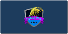 hylian_rice XXL Gaming Mousepad